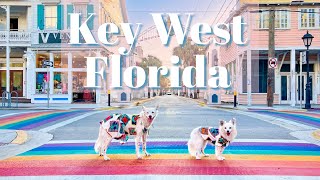 A Dog Friendly Weekend in Key West, Florida