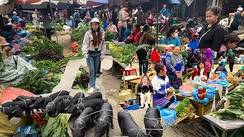Chợ Phiên Mường Khương - Lào Cai , Bán Toàn Đồ Hiếm Gặp | người vùng cao tv ,