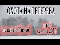 Охота на тетерева ( где искать тетерева ИМХО и тяготы сезона 2016)