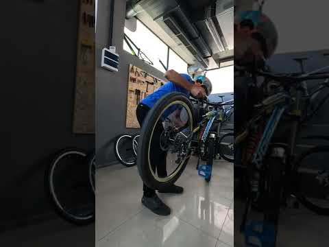 Video: Orbea հեծանիվների ակնարկ