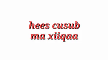 Hees cusub ma xiiqaa makuu