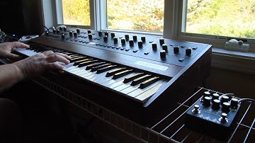 Sequential Prophet 5 rev4 & AMT (Asheville Music Tools) ADG-1 Analog Delay - ExperimentalSynth