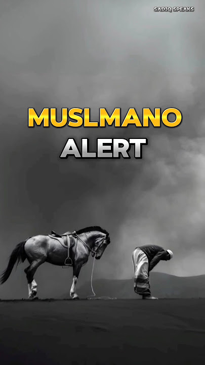 Free Palestine Masjid-Aqsa| Junge Khaibar| Hazrat Imam Ali as | Hazrat Imam Hussain as| SADIQ SPEAKS