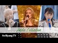 Playlist Begin Again 비긴어게인 Adele Collection 아델 모음 