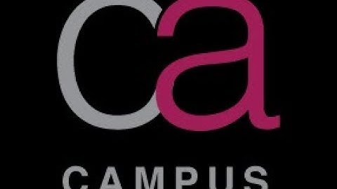 AUE Lecture: Template for Substantive Procedures of an account balance