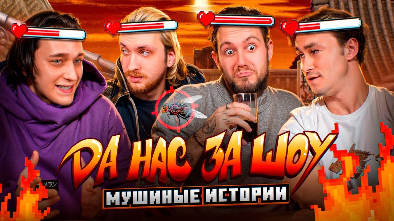 Попал в муху своей... МУШИНЫЕ ИСТОРИИ | ДА НАС ЗА ШОУ №1