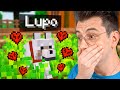 HO RITROVATO IL MIO CANE! - HARDCORE MINECRAFT ITA #4