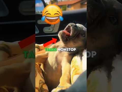 تحدي البكرات