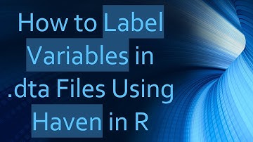 How to Label Variables in .dta Files Using Haven in R