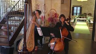 River flows in you - Annie (harp) y Gema (cello)