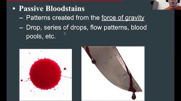 Bloodstain Video