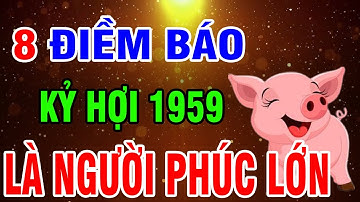 Kỷ Hợi 1959 Cuộc Đời Khổ Vì Có Căn Trả Nghiệp - Hậu Vận Là Đại Phúc Nếu Xuất Hiện 8 Dấu Hiệu Này!