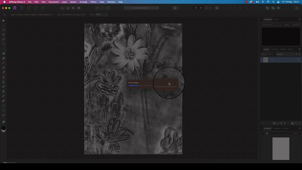 Affinity Tutorial - Focus Merge