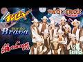 🎶TECNO BANDAS GRANDES EXITOS 💃 BANDA ARKANGEL R15, BANDA VAQUEROS MUSICAL, BANDA BRAVA... Y MAS💃💃💃