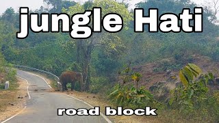 jungle Hati Dalu to Gasuapara Border road || Asongdame ni roatjok da.alde😃 || #merider08
