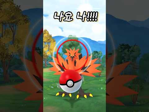 🍪두쫀쿠 사줄 사람?🥺 #밈 #두쫀쿠 #포켓몬고 #pokemongo #단발머리메타몽
