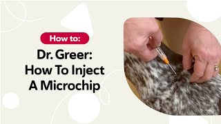 How to Inject a BuddyID® Microchip | Dr. Marty Greer Demonstrates Safe Pet Microchipping
