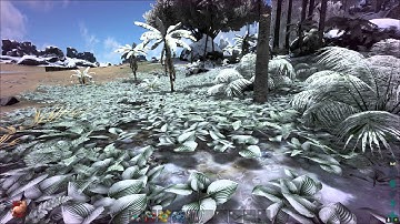 ARK Survival Evolved Beginners Guide Part 2