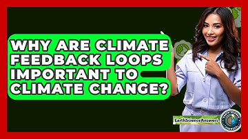Why Are Climate Feedback Loops Important To Climate Change? - Earth Science Answers
