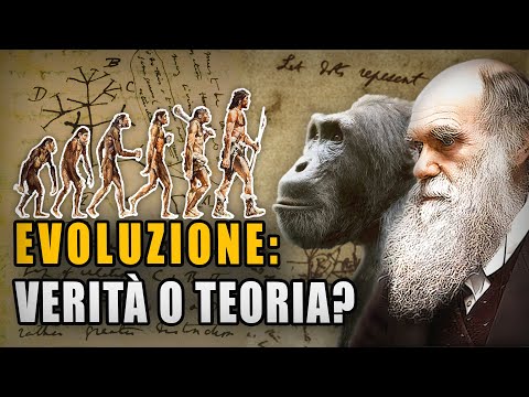 Video: Famiglia delle aringhe: descrizione delle specie, caratteristiche, habitat, foto e nomi dei pesci