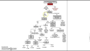 5.1.5 Frontload Biochemical Tests