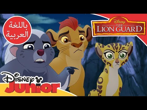 قيادة الأسد الحارس العثور على زيموي