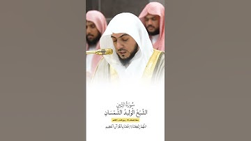 سورة التين | الشيخ #الوليد_الشمسان
