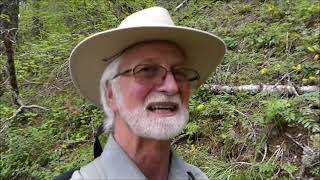 Willamette National Forest Hiking