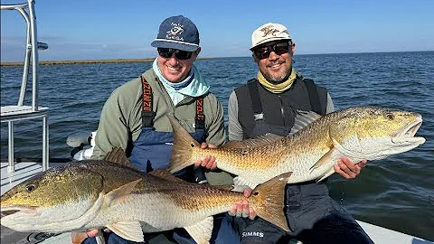 2-for-1 Bull Reds on Fly - Catching the shadow fish