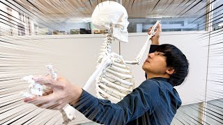 研究室を巡っていたら骨格標本と社交ダンスする教授に出会いました