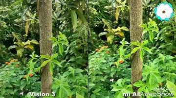 InFocus vision 3 vs Xiaomi Mi A1 camera comparison|| DUAL CAMERA careerx