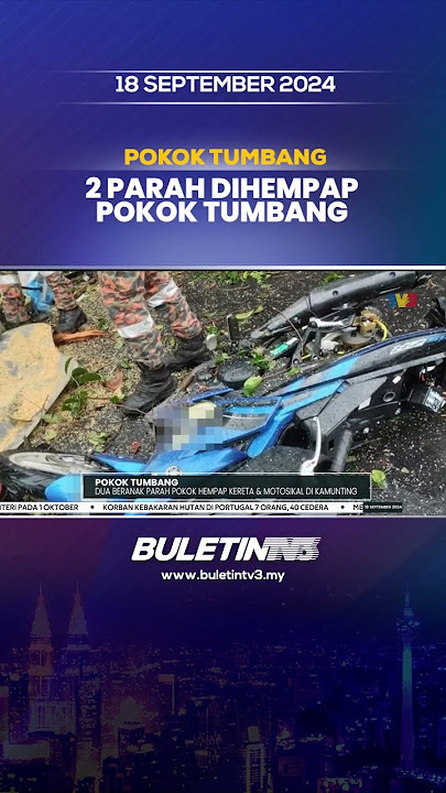 POKOK TUMBANG | Dua Beranak Parah Pokok Hempap Kereta Dan Motosikal Di Kamunting