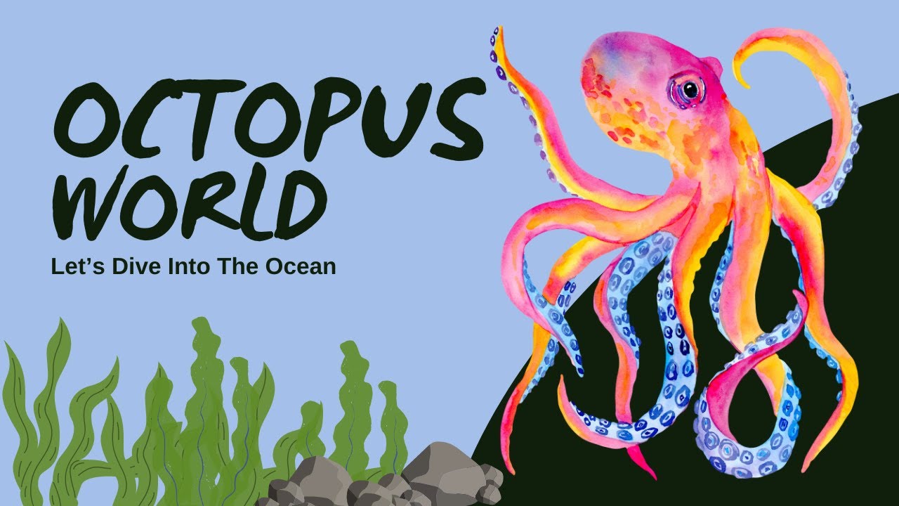 Tentacle Tales - Octopus World - YouTube