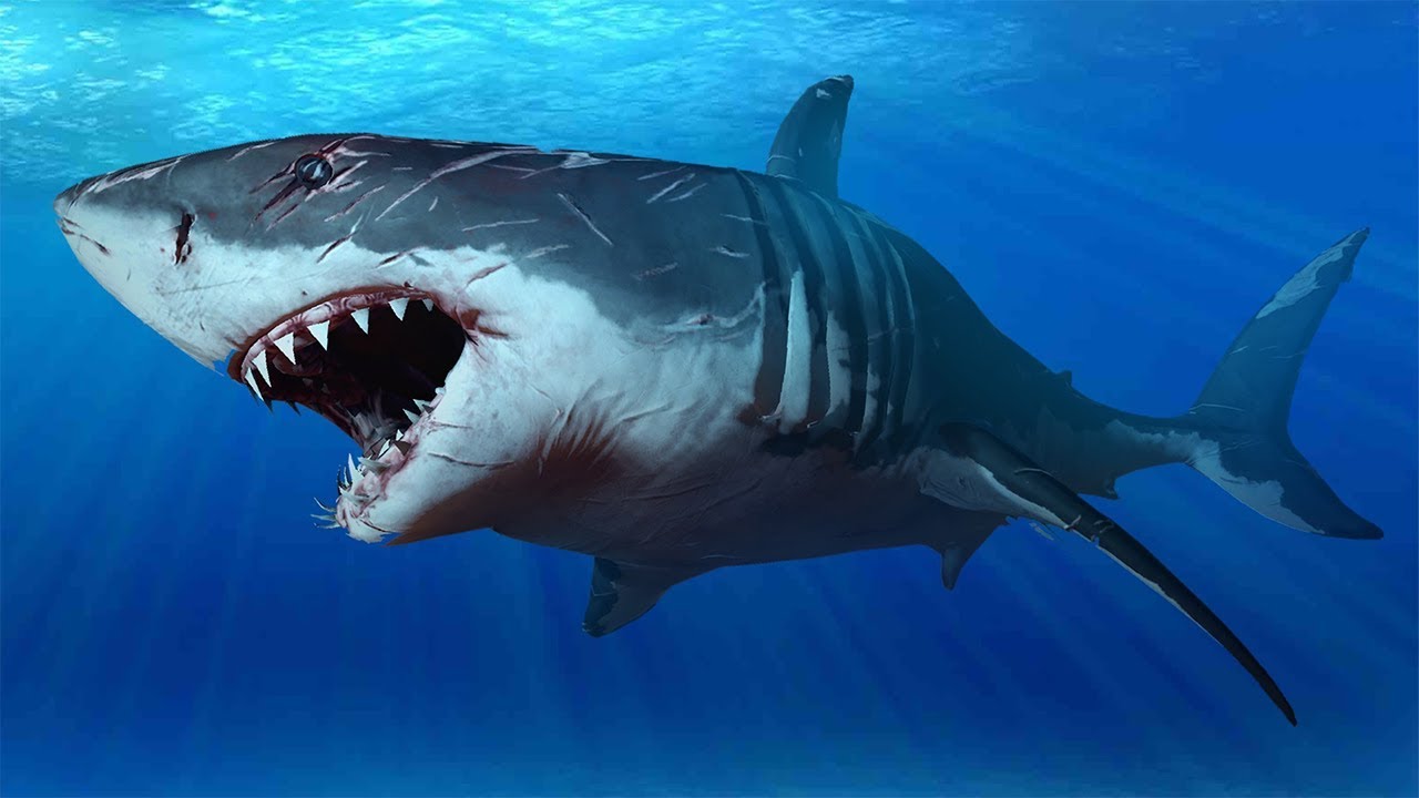 Shark Attack in Call of Duty: Ghosts