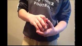 Spring Sandwich Tutorial
