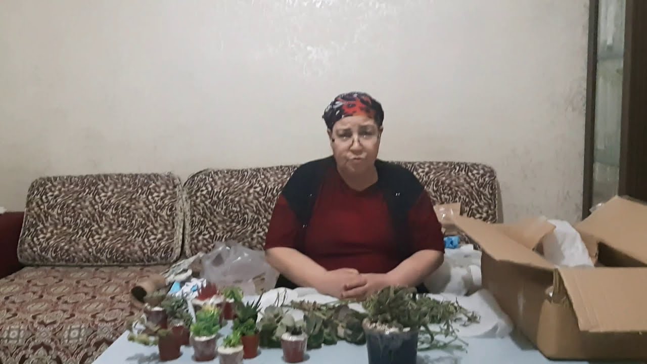 SÜRPRİZ KARGO GELDİ/KAKTÜS SUKULENT EVİ Bİ DÜNYA KAKTÜS KANALI EMİNE ARKADAŞIMA SONSUZ TEŞEKKÜRLER ⚘