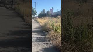 7/25/2025: BNSF 7040, 7899, 8162 and DPU 5729, 970, 4986 with NB S Train depart from West Colton, CA
