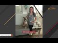 Pitbull adopter says no one tells you breed is so...