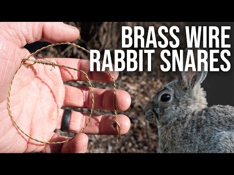 Making a Rabbit Snare with Brass Wire