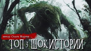 видео: ТОП 3 ШОКИРУЮЩИХ ИСТОРИИ | Страшные истории | Ольга Морган | Ужасы | Мистика картинка: ТОП 3 ШОКИРУЮЩИХ ИСТОРИИ | Страшные истории | Ольга Морган | Ужасы | Мистика