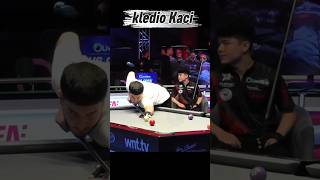 kaci 🆚 Vogel