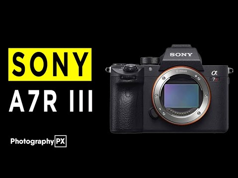 Sony Alpha 7R III Mirrorless Camera Highlights & Overview - YouTube