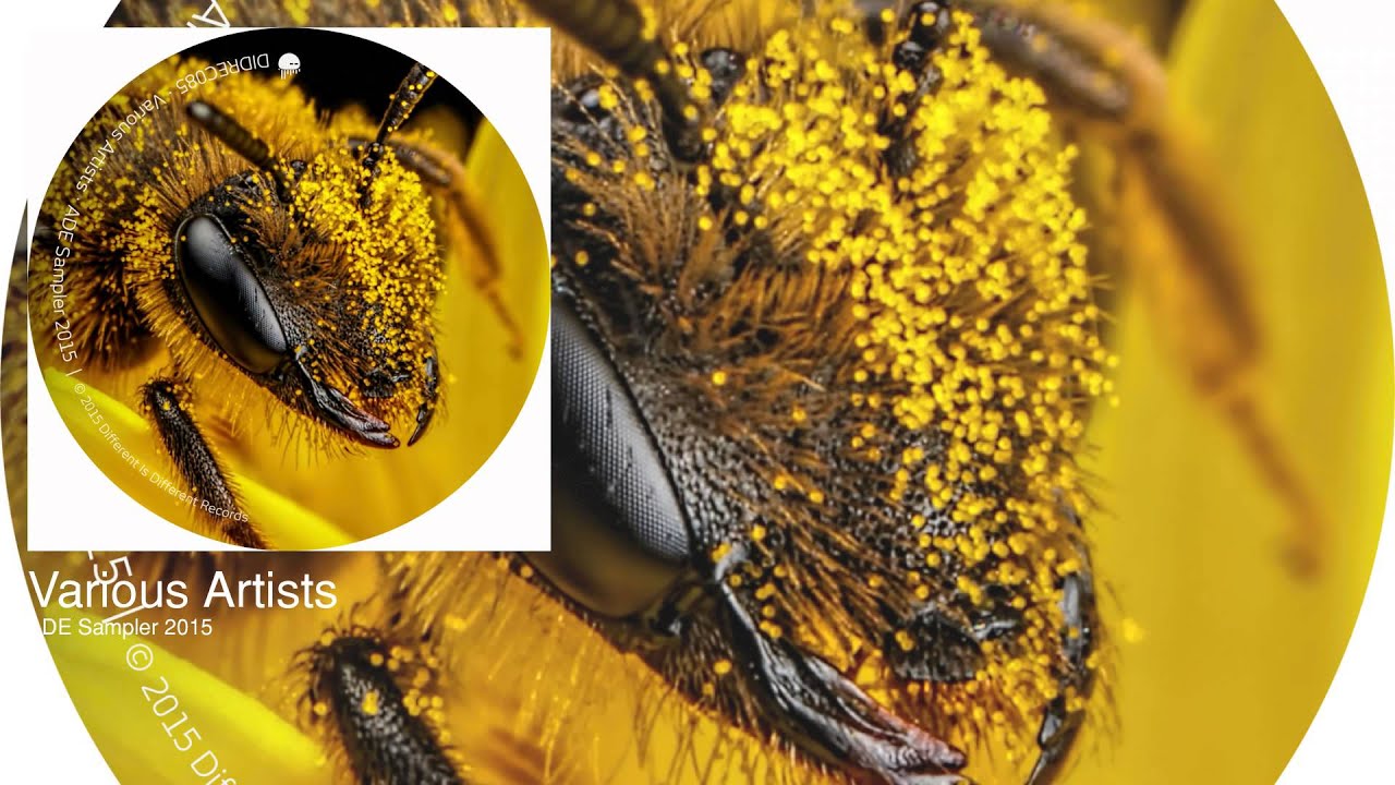 Obejrzyj 53 Hz - Metamorphose (Original Mix) w YouTube Obejrzyj 53 Hz - Metamorphose (Original Mix) w YouTube