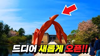 🚝A trip to a hidden luxury museum in a mountain valley by taking the cheapest train in Korea