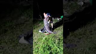 Big Catfish