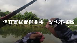 外來種移除任務: 坪林的巨大曲腰魚~~ 