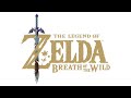 Gerudo town night  the legend of zelda breath of the wild  extended
