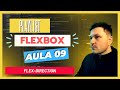 Aula 09 - Como usar o flex-direction do flexbox