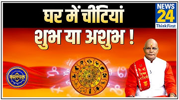 Kaalchakra: Pt. Suresh Pandey ji से जानिए चींटियों का क्या है आपकी किस्मत से कनेक्शन ?