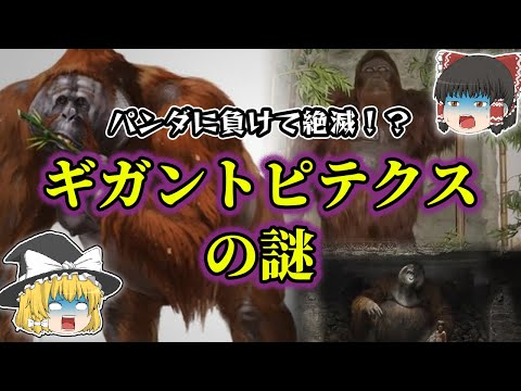 【ゆっくり解説】類人猿最強！ギガントピテクスが残念すぎる